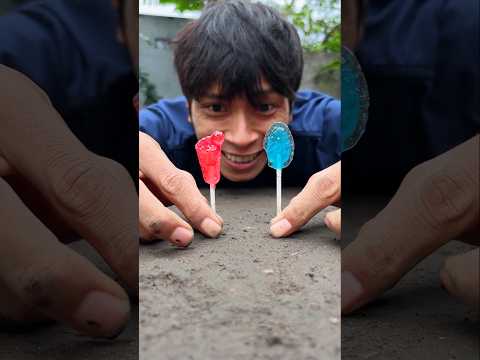 Nothing else matters, dancing with the millipedes is clearly more fun #shorts #millipedes