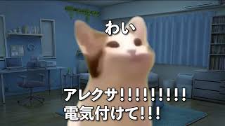 【猫ミーム】仕事に集中しすぎて大事なものを忘れていた医師の末路 #vtuber  #医師解説 #catvtuber