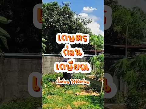 เกษตรก่อนเกษียณ EP.1 | จุดเริ่มต้นทำเกษตร #เกษตรก่อนเกษียณ #เบลล์อินฟาร์ม #ใช้ชีวิตก่อนเกษียณ