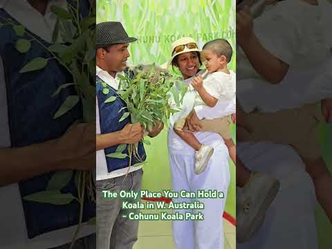 One of the only 4 places in the world you can hold a Koala - Cohunu Koala Park, WA!