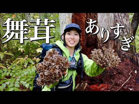 高級食材だらけの山！渋谷直人さんに教わるマイタケ採り