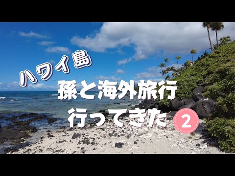 【孫と旅行】後編/ハワイ島/コンドミニアムで自炊/シニアvlog