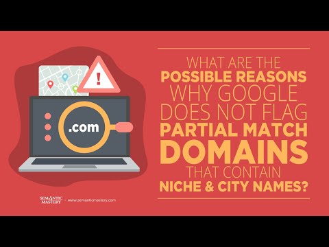 What Are The Possible Reasons Why Google Does Not Flag Partial Match Domains That Contain Niche & Ci