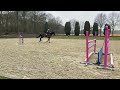 Show jumping horse Jizabalia fijn springpaard 1.20