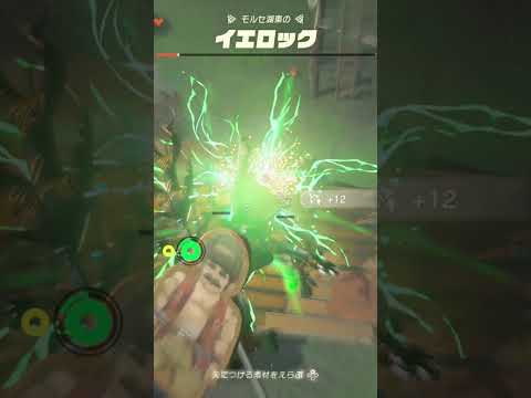 【ティアキン】モルセ湖東のイエロック　ゼルダの伝説ティアーズ オブザキングダムNintendo Switch 2 Edition #ティアキン #shorts