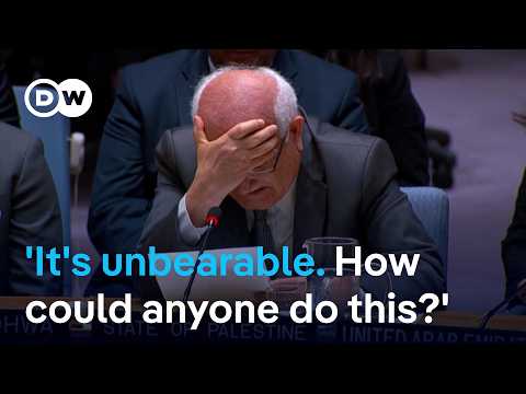 Palestinian ambassador breaks down in tears during UNSC address on Gaza | DW News