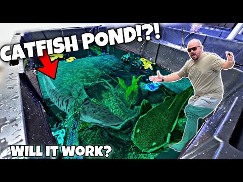 DIY Catfish Pond!?! (CHEAP) Visit http_//www.freshwaterscrub.com and Use code CATFISH for 10% off until 01/31/2023

In today's v