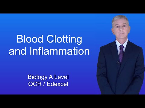 A Level Biology Revision “Blood Clotting and Inflammation”