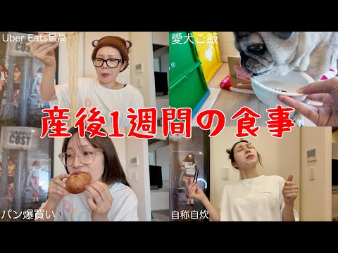 産後いつ痩せるんと思いながらずっと食べてる1週間食事VLOG