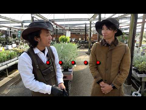 偽物に圧をかけました【カーメン君】【家庭菜園】【園芸】【ガーデニング】