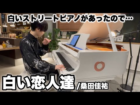 白いストリートピアノがあったので『白い恋人達 / 桑田佳祐』弾いてみた