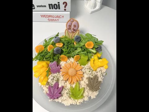 单狗配餐 另外一只狗在面壁#自制狗饭 #配粮 #萌宠vlog #今日晚餐 #日常投喂