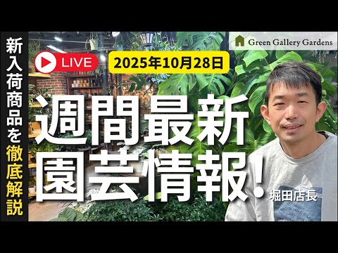 【最新情報】10月28日グリーンギャラリーガーデンズ入荷情報を一挙公開!