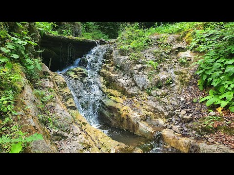 Водоспад Студений Потік в с. Шешори (Косівський р-н, Івано-Франківська обл.), 30/06/24