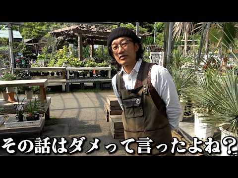 だから言ったじゃん【カーメン君】【園芸】【ガーデニング】