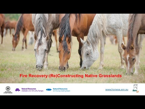 Fire Recovery: Reconstructing Native Grasslands