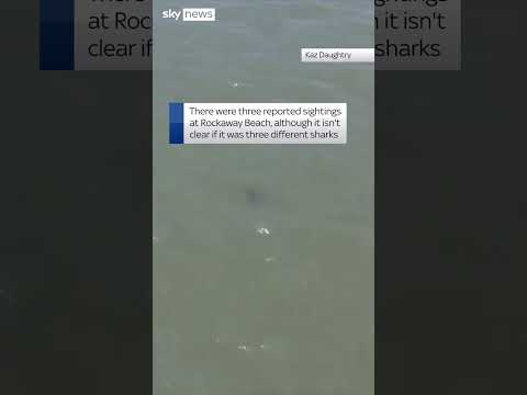A beach in New York has been closed down after three people reported seeing sharks in the water