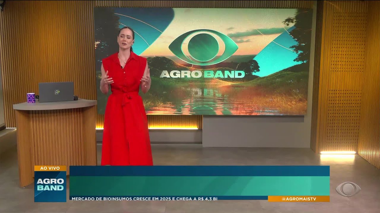 Salpicão na ceia: Prato é presença garantida no fim do ano