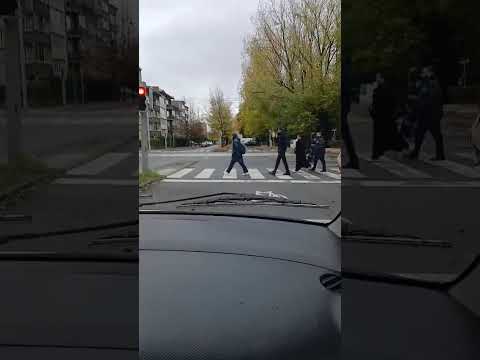 Driving licence #subscribe #shortscar