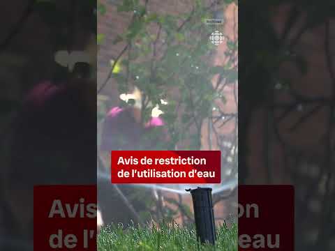 Avis de restriction de l'utilisation d'eau | Vidéojournal