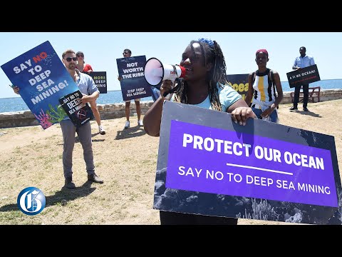 Climate advocates protest in downtown Kingston against deep-sea mining