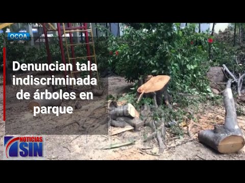 Denuncian tala indiscriminada de árboles en parque