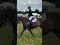 三项赛马匹 Talented young event horse/show jumper