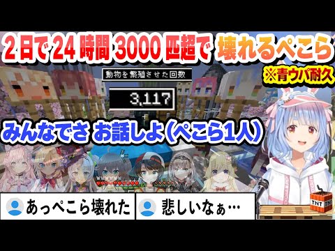 【 ペコムラ7日目 】青ウパ耐久2日で24時間 3000匹を超えてメンタルが壊れて1人でエアホロメンと会話を始めるぺこら 青ウパ耐久まとめ【兎田ぺこら/ホロライブ/切り抜き】