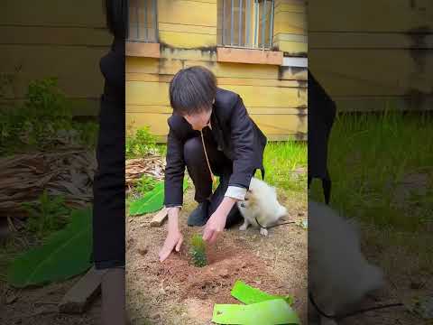 #Officer Rabbit #angel