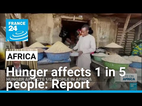 Report: Hunger affects 1 in 5 people in Africa as climate change, conflict takes toll • FRANCE 24