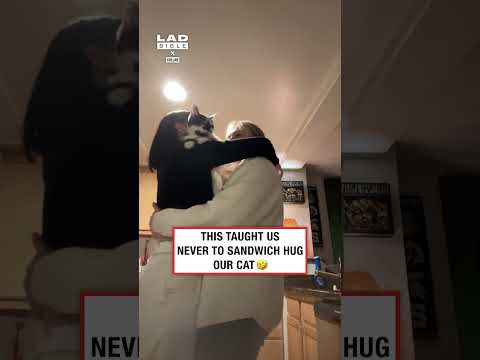 This is your sign to never sandwich hug your cat 🤣 (🎥: TT/ cassiegant0 via Collab)