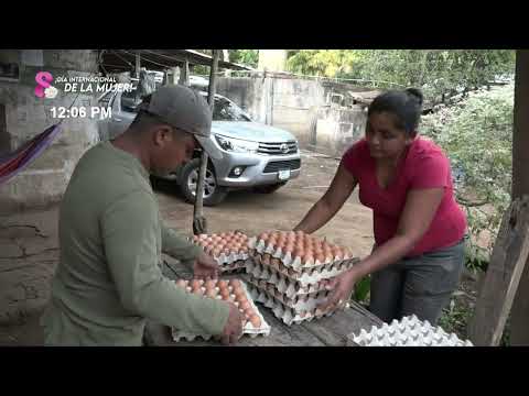 Desarrollan simulacro «Nicaragua Libre de Gripe Aviar» en Granada - Nicaragua