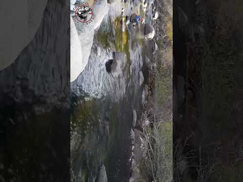 I wish I could fish this quick in real life! #flyfishing