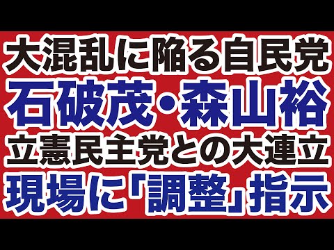 【自民党大混乱】石破茂・森山裕が立憲民主党との「大連立」調整を指示！【デイリーWiLL】