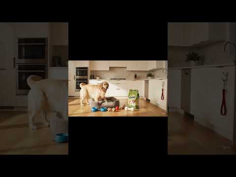 Cinematic shot of a sunlit, empty kitchen #asmr #satisfyingsounds #glassart #satisfyingvideo