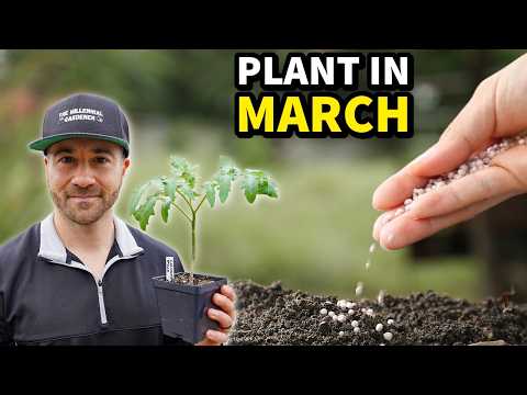 Plant This In March NOW, Or Regret It Later!