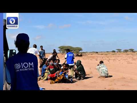 At Least 139 Migrants Killed, Dozens Missing In Djibouti + More | Network Africa