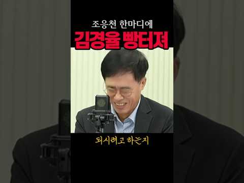 조응천 한마디에 김경율 빵터져#추미애#시사브리핑