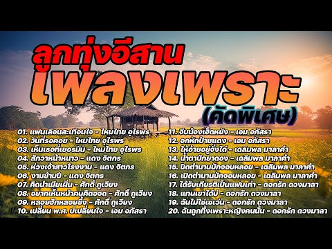 ลูกทุ่งอีสานเพลงเพราะ(คัดพิเศ