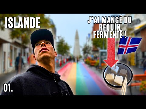 J’AI GOUTÉ LE PIRE PLAT D’ISLANDE (Roadtrip Islande #1 🇮🇸) 
