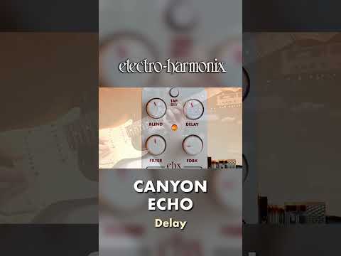 EHX Pico Canyon Echo Digital Delay Pedal Demo
