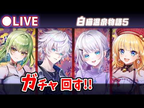 【白猫】♨️「白猫温泉物語5 ~対決! 温泉怪盗団~」ガチャ回す+お試し検証!ジンサヤ兄妹が温泉に!♨️【実況・ライブ】