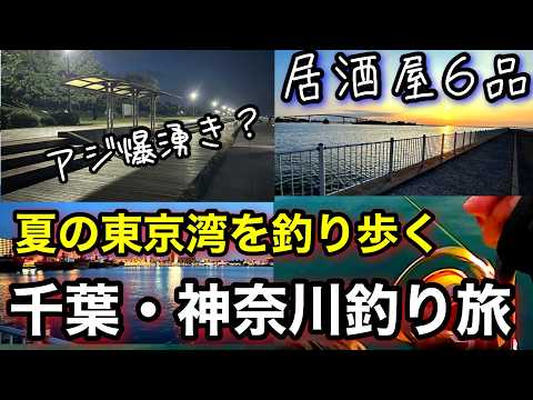 千葉・神奈川でアジ釣りのハズが..50cm級の魚で豪華晩酌2025.8