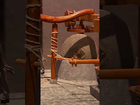 You’ll Never Look At Olive Oil the Same! | How It’s Made | Science Channel