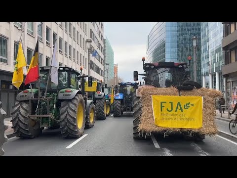 Belgian farmers take to Brussels streets as EU Agriculture Ministers meet
