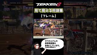 【鉄拳8】見て覚える用語集【フレーム】