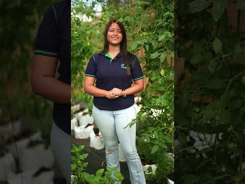 රස්සාවට එහා දෙයක්