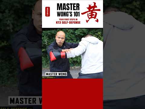 Learn to Block Any Punch | self-defense
