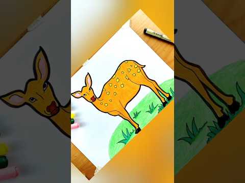 Deer Drawing and Coloring || Deer Drawing 🦌 😍  #drawing #coloring #deer