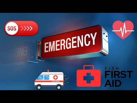 The video I NEVER wanted to post_ Fish First Aid This is a video that took me MONTHS to film because I wasn't sure how or if I should post it. It's n